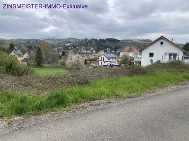 Grundstück zum Kauf 75.000 € 1.149 m² Grundstück Kusel Kusel 66869