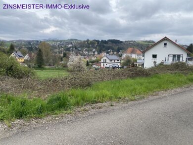 Grundstück zum Kauf 75.000 € 1.149 m² Grundstück Kusel Kusel 66869