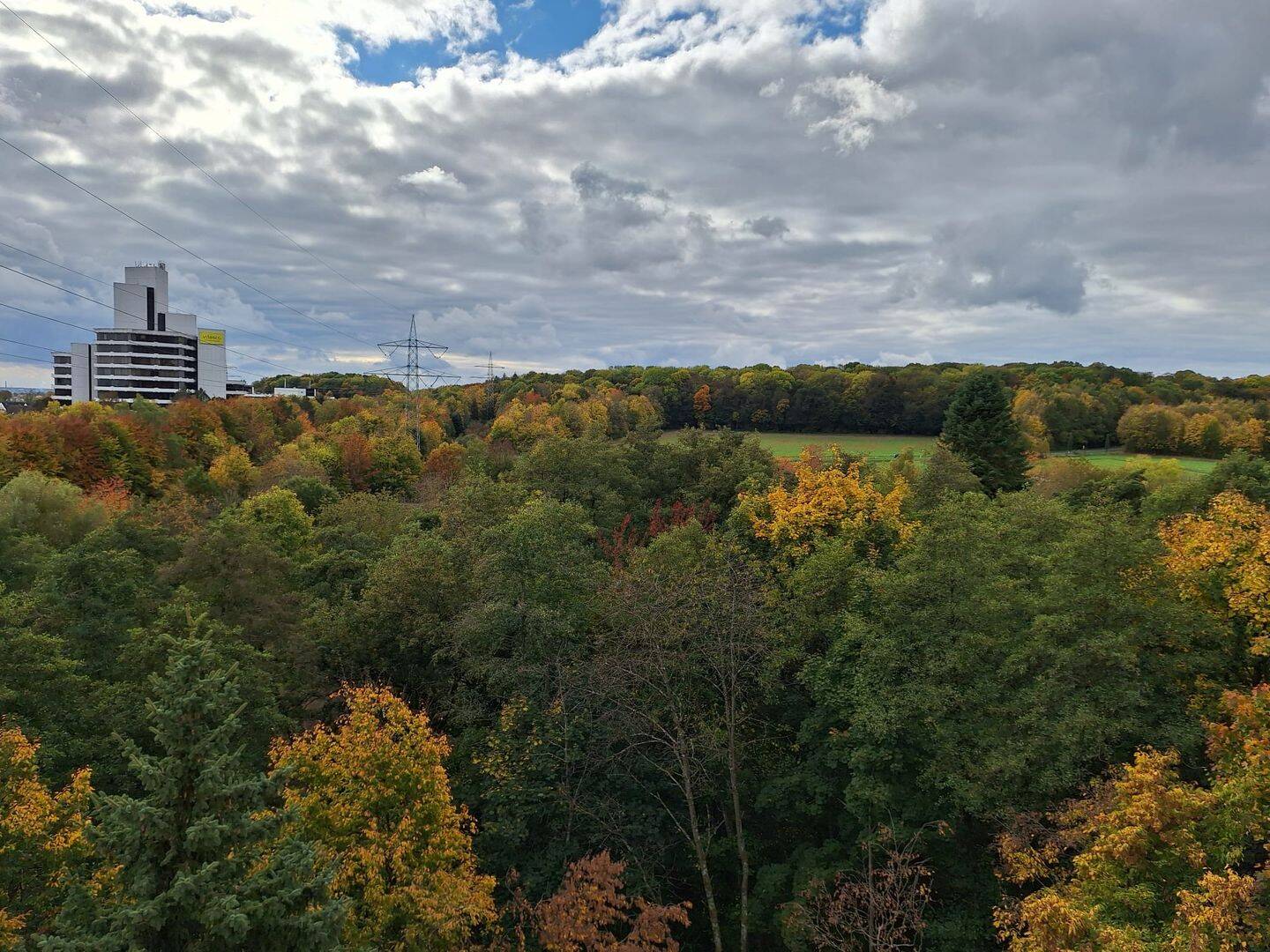 Gestalten Sie Ihr neues Zuhause ohne Maklergebühren – 2,5-Zimmer-Wohnung mit Balkon, Stellplatz und toller Lage in Schwalbach