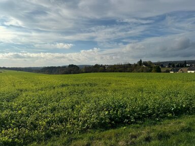 Grundstück zum Kauf provisionsfrei 224.770 € 1.183 m² Grundstück Landscheid Landscheid 54526