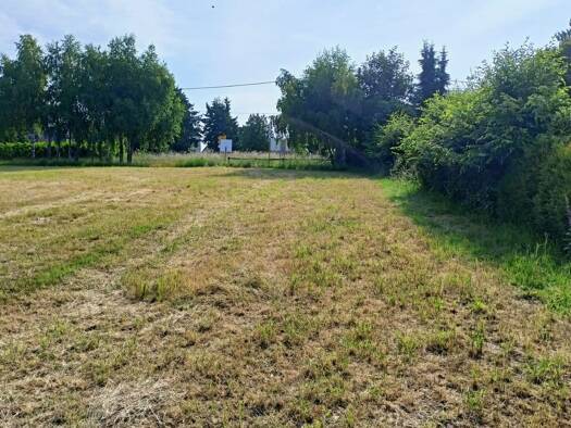 Haus zum Kauf provisionsfrei 285.900 € 4 Zimmer 112 m² 701 m² Grundstück Alte Zschopauer Straße Kleinolbersdorf-Altenhain Chemnitz 09128