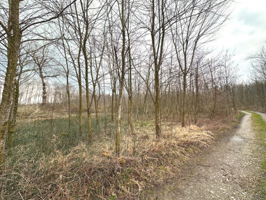 Land-/Forstwirtschaft zum Kauf 37.000 € 4.346 m² Grundstück Zaisering Vogtareuth 83569