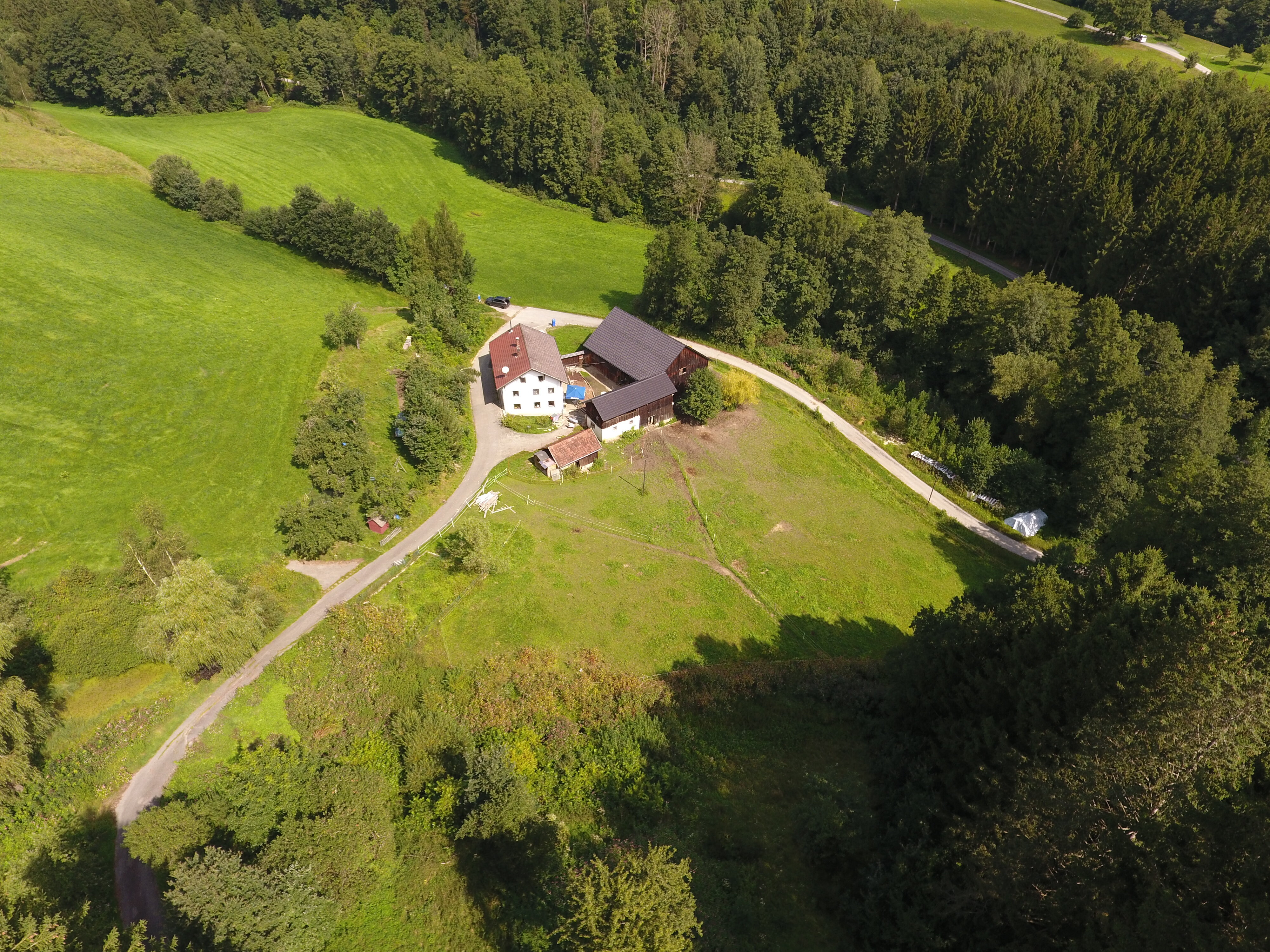 Bauernhaus zum Kauf 890.000 € 6 Zimmer 170 m²<br/>Wohnfläche 78.500 m²<br/>Grundstück Möging Neukirchen v. Wald 94154