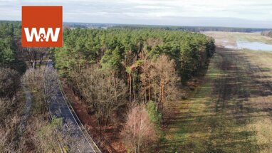 Land-/Forstwirtschaft zum Kauf 159.000 € 153.427 m² Grundstück Sorno Finsterwalde / Sorno 03238