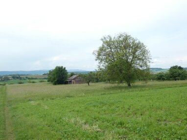 Landwirtschaftliche Fläche zum Kauf 49.000 € 8.252 m² Grundstück Jebenhausen Göppingen 73035