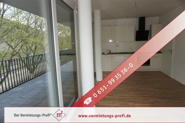 Wohnung zur Miete 945 € 2 Zimmer 65,7 m² 2. Geschoss Maximin 1 Trier 54292