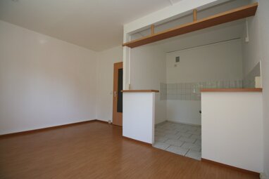 Wohnung zur Miete 233 € 2 Zimmer 41,6 m² Erdgeschoss Gustav-Jeuthe-Straße 13 Süd 43 Dessau-Roßlau 06849
