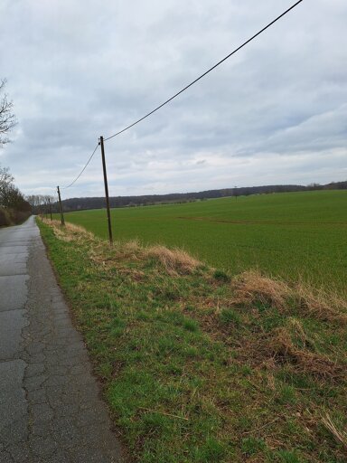 Landwirtschaftliche Fläche zum Kauf provisionsfrei 30.000 m² Grundstück Großharriefeld Großharrie 24625