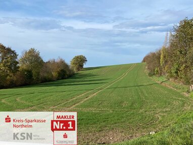 Land-/Forstwirtschaft zum Kauf 299.178 € 16.621 m² Grundstück Northeim Northeim 37154