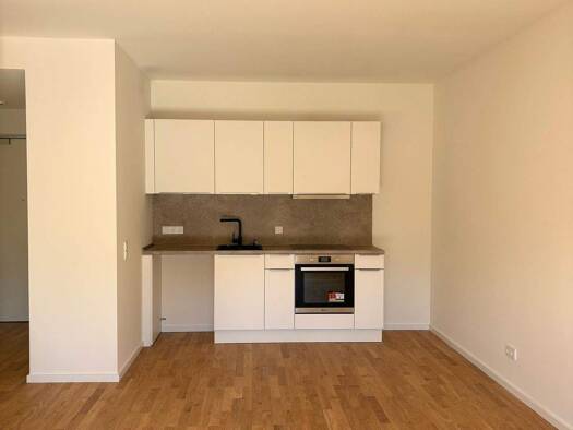 Wohnung zur Miete - Erstbezug 1.290 € 2 Zimmer 59 m² 4 Geschosse frei ab sofort Dammwiesenstraße 10 Tonndorf Hamburg 22045