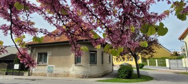 Haus zum Kauf 250.000 € 2 Zimmer 65 m² 482 m² Grundstück Leobersdorf 2544
