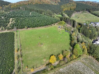 Land-/Forstwirtschaft zum Kauf 65.000 € 13.251 m² Grundstück Oberkirchen Schmallenberg 57392