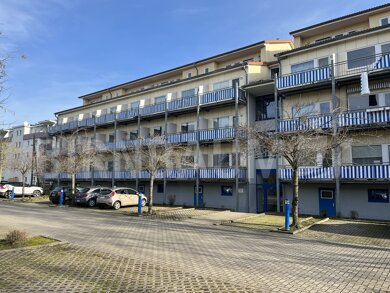 Wohnung zur Miete 256 € 1 Zimmer 24,5 m² EG frei ab 01.03.2025 Soldmannstraße 20 Fettenvorstadt Greifswald 17489