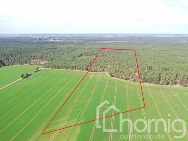Land-/Forstwirtschaft zum Kauf 129.000 € 162.470 m² Grundstück Eichholz Heideland-Eichholz 03238