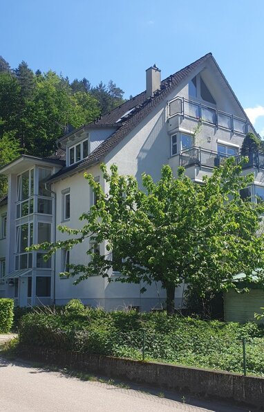 Terrassenwohnung zum Kauf Provisionsfrei 490.000 € 3 Zimmer 86,4 m² Erdgeschoss Zähringeracker 10 Kappel Freiburg 79117