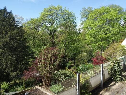 Terrassenwohnung zur Miete 1.650 € 3 Zimmer 108 m² Geschoss 2/5 frei ab sofort Virchowstraße 13 Maxfeld Nürnberg 90409