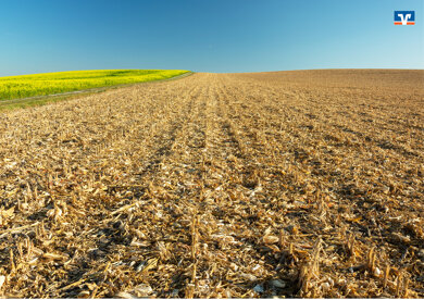 Land-/Forstwirtschaft zum Kauf 27.681 m² Grundstück Drebber 49457