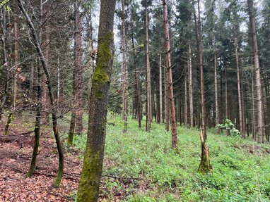 Landwirtschaftliche Fläche zum Kauf 6,15 € 79.000 m² Großgründlinger Holz Nandlstadt Nandlstadt 85405