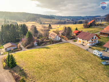 Grundstück zum Kauf 214.000 € 1.791 m² Grundstück Herrischried Herrischried 79737