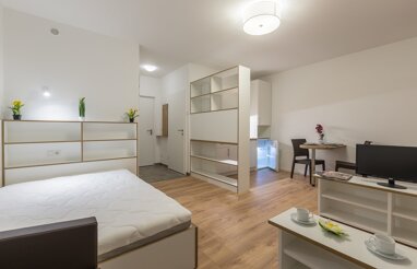 Wohnung zur Miete 570,76 € 1 Zimmer 30 m² Viktor-Franz-Hess-Straße Wiener Neustadt 2700