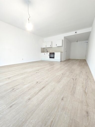 Apartment zur Miete 800 € 1 Zimmer 49,3 m² Erdgeschoss Wiesenstraße 4 Nittel Nittel 54453