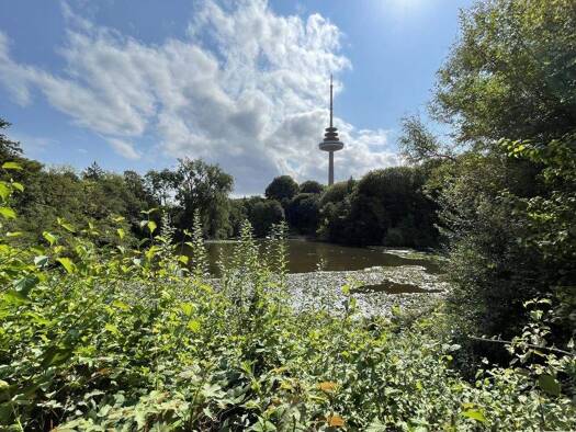 Wohnung zum Kauf 295.000 € 2 Zimmer 59 m² 2. Geschoss Gaarden-Süd Kiel 24113