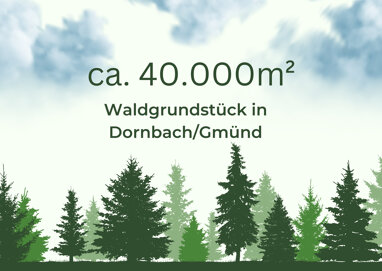 Land-/Forstwirtschaft zum Kauf 40.000 m² Grundstück Gmünd / Dornbach 9853