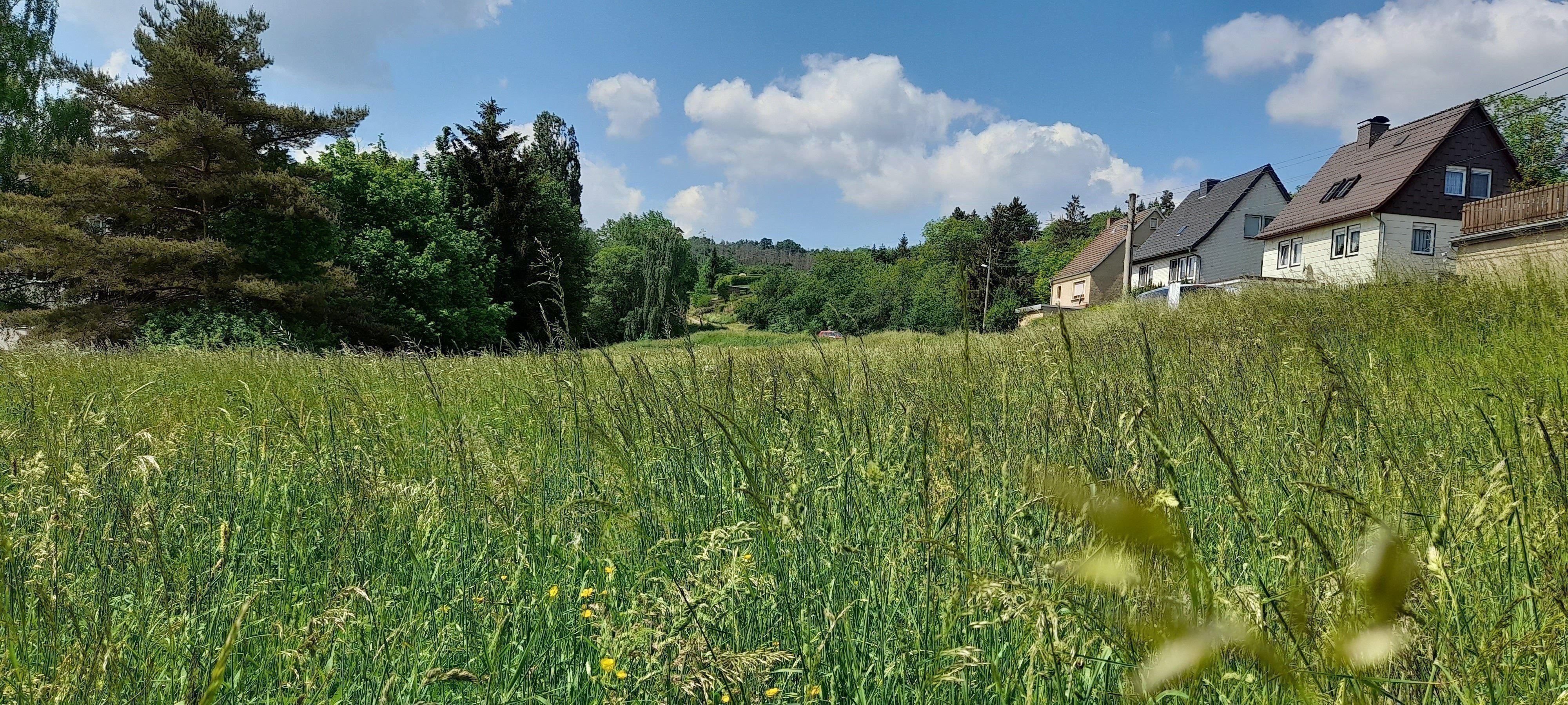 Grundstück zum Kauf provisionsfrei 865 m²<br/>Grundstück Crossen Crossen an der Elster 07613