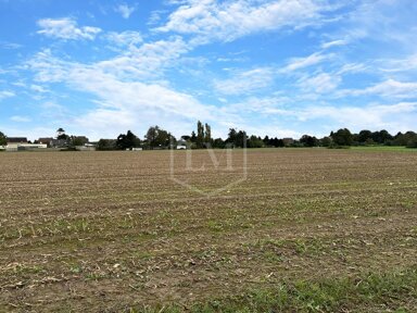 Landwirtschaftliche Fläche zum Kauf 270.000 € 21.774 m² Grundstück Heinsberg Heinsberg 52525