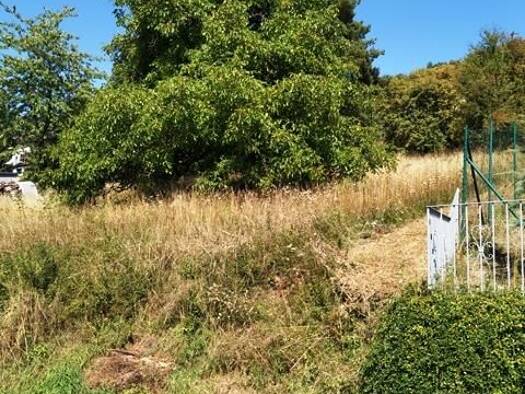 Grundstück zum Kauf 110.000 € 967 m² Grundstück Meisenweg Königshofen Lauda-Königshofen 97922