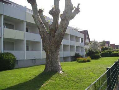 Apartment zur Miete 560 € 1 Zimmer 40 m² 1. Geschoss Haslacherstr. 187 Weingarten Freiburg im Breisgau 79115