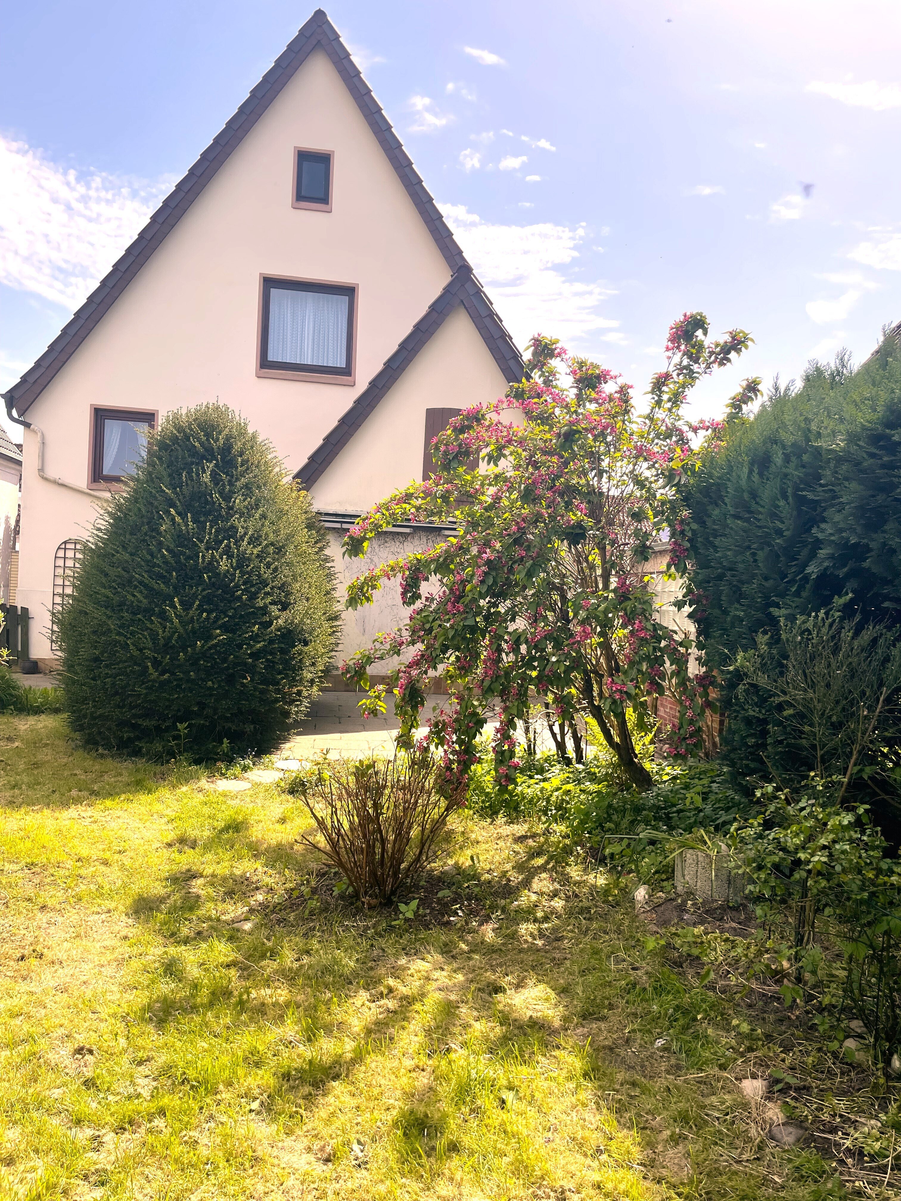 Einfamilienhaus zum Kauf 169.000 € 5 Zimmer 144 m²<br/>Wohnfläche 607 m²<br/>Grundstück ab sofort<br/>Verfügbarkeit Brake Brake 26919