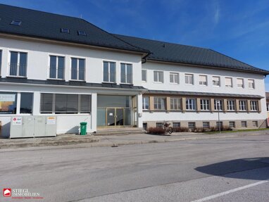Immobilie zur Miete 980,01 € Salzburg Salzburg 5020
