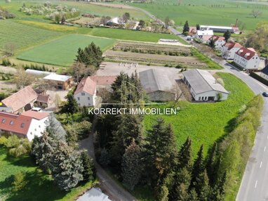 Bauernhof zum Kauf 500.000 € 280 m² 6.010 m² Grundstück Meißen Meißen 01662