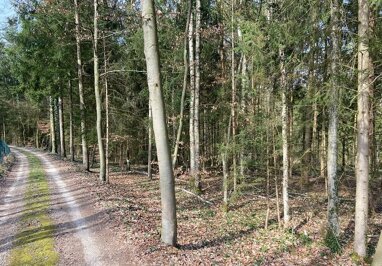 Land-/Forstwirtschaft zum Kauf 99.000 € 9.844 m² Grundstück Vogelsang Sinzing 93161