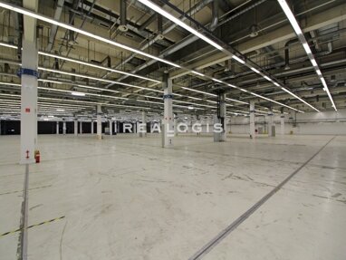 Halle/Industriefläche zur Miete 8.032 m² Lagerfläche teilbar ab 3.551 m² Wesel Wesel 46485
