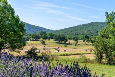 Schloss zum Kauf 2.200.000 € 15 Zimmer 1.400 m² 1.700.000 m² Grundstück Grand Sud- Aix la Duranne AIX EN PROVENCE 13100