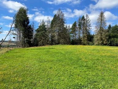 Landwirtschaftliche Fläche zum Kauf 7.000 € 14.861 m² Grundstück Reichenbach Probstzella 07330