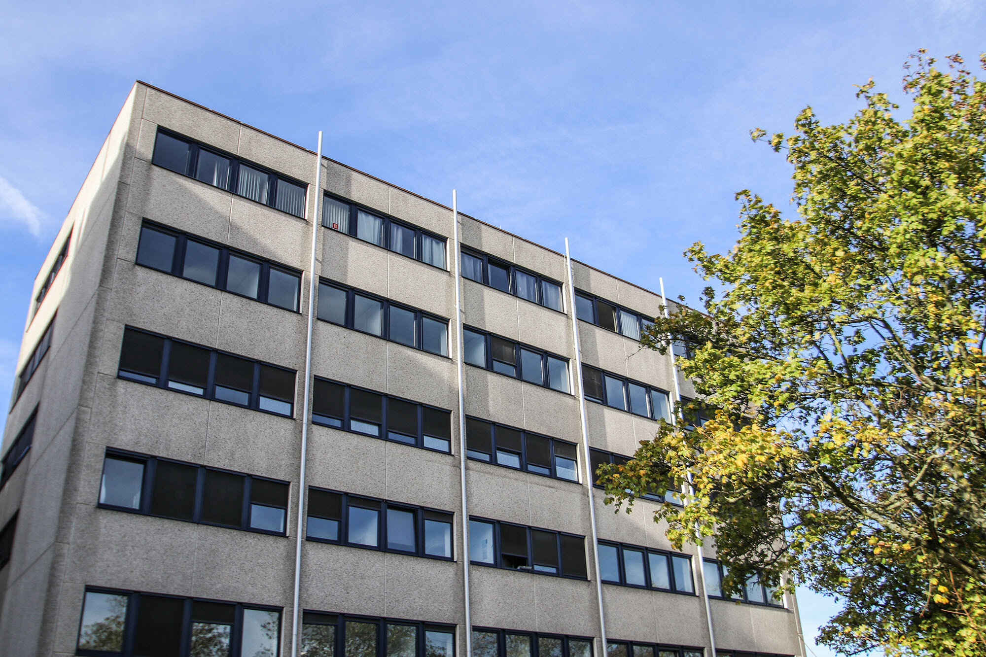 Bürofläche zur Miete provisionsfrei 6 € 325 m²<br/>Bürofläche ab 35 m²<br/>Teilbarkeit Tiefenbroich Ratingen 40880