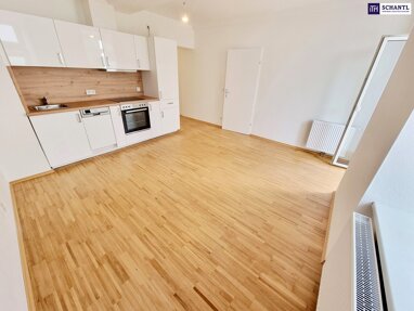 Wohnung zum Kauf 329.000 € 3 Zimmer 53,2 m² Erdgeschoss Bergsteiggasse Wien 1170