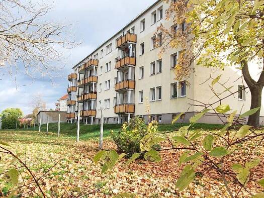 Wohnung zur Miete 410 € 3 Zimmer 59,1 m² EG frei ab sofort Albert-Schweitzer-Ring 7 Wilkau-Haßlau 08112