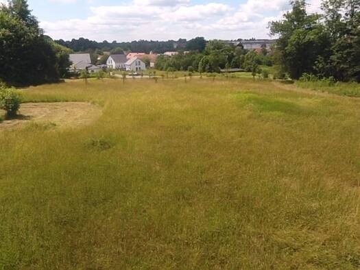 Grundstück zum Kauf 440.000 € 11.664 m² Grundstück Bischofswerda 01877