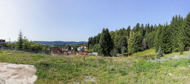 Grundstück zum Kauf 30.000 € 950 m² Grundstück Wahlbezirk 82 Suhl / Goldlauter 98528