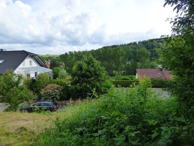 Grundstück zum Kauf 165.000 € 643 m² Grundstück Eisenbach Obernburg 63785