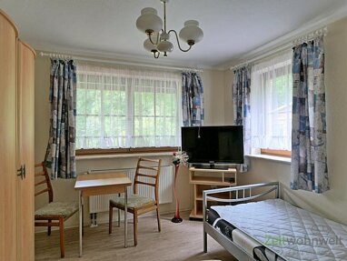 Wohnung zur Miete Wohnen auf Zeit 420 € 1 Zimmer 30 m² frei ab sofort Nickern Dresden 01239