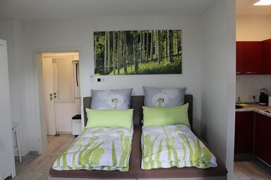 Studio zur Miete 540 € 1 Zimmer 37 m² 1. Geschoss frei ab sofort Stadeln 174 Fürth 90765