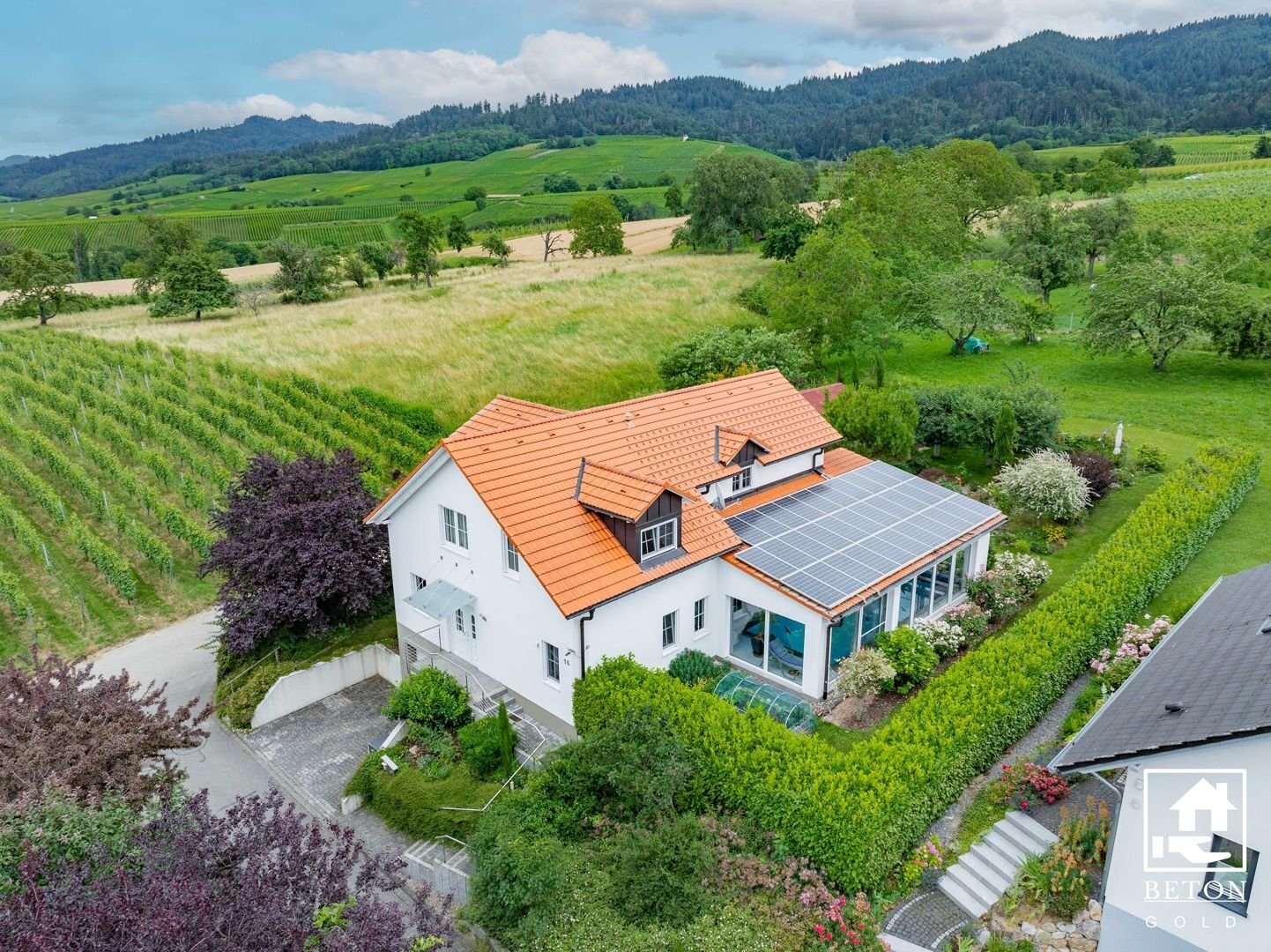 Villa zum Kauf 1.099.000 € 6 Zimmer 245 m²<br/>Wohnfläche 1.049 m²<br/>Grundstück Britzingen Müllheim im Markgräflerland 79379