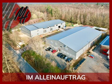 Lagerhalle zum Kauf 3.800 m² Lagerfläche Dieburg 64807