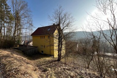 Mehrfamilienhaus zum Kauf 420.000 € 6 Zimmer 125 m² 1.228 m² Grundstück Tuttlingen Tuttlingen 78532