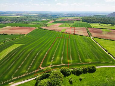Landwirtschaftliche Fläche zum Kauf 59.250 € 33.890 m² Grundstück Sangerhausen Sangerhausen 06526